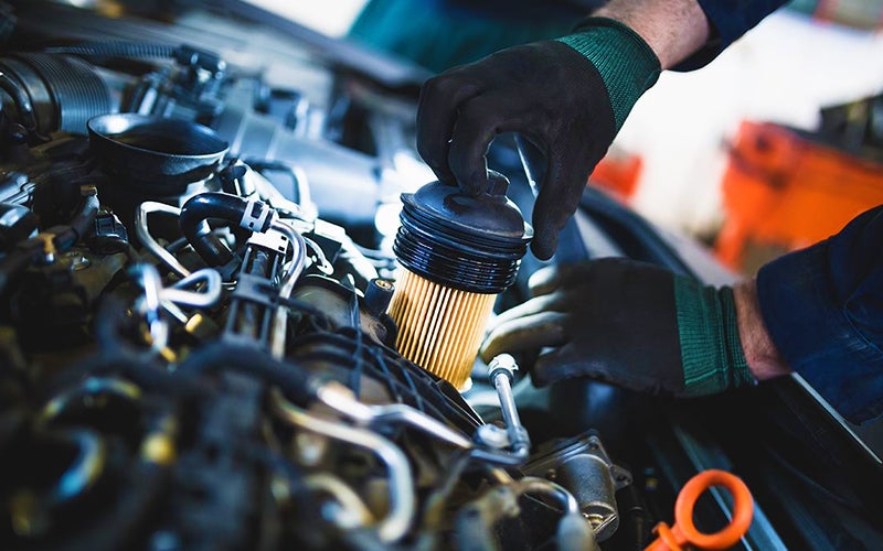 Oil & Filter Change Special